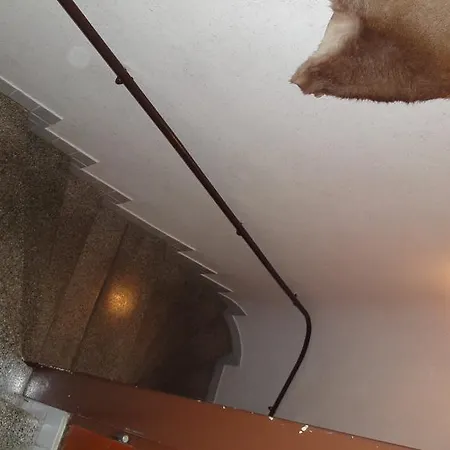 Ivana 3* הַרָכוֹב