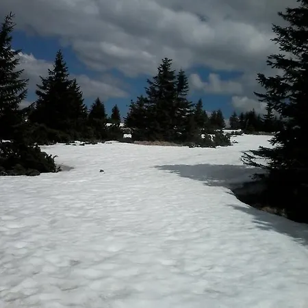 בית הארחה Ivana